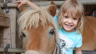 Sommerferien auf dem Bauernhof mit Pony und Tieren